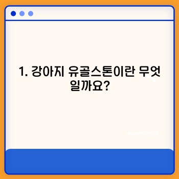 d8033fc3fdaea171f4fc6f7d75f94520.jpg