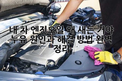 내 차 엔진오일, 왜 새는 거야? 😭 누유 원인과 해결 방법 완벽 정리!