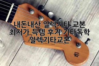 🎸 내돈내산 일렉기타 교본 최저가 득템 후기! #기타독학 #일렉기타교본