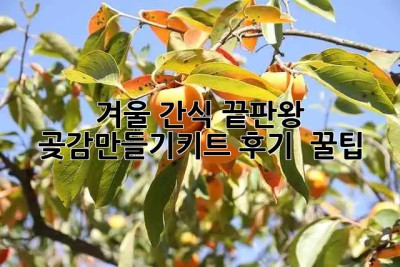 겨울 간식 끝판왕 👑 #곶감만들기키트 후기 & 꿀팁🍯