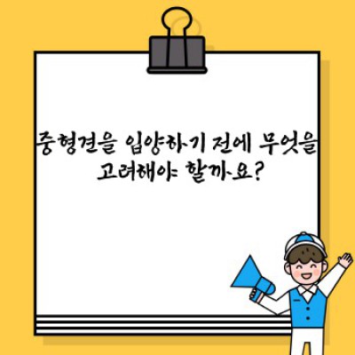 중형견: 나에게 딱 맞는 반려견, 어떤 녀석을 선택해야 할까요?