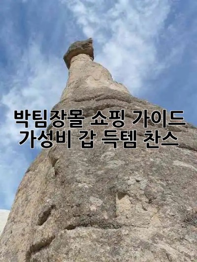 박팀장몰 쇼핑 가이드 🛍️✨ 가성비 갑! 득템 찬스!