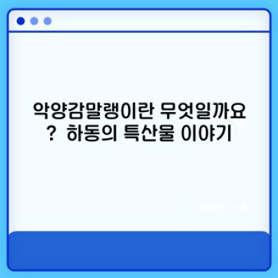 악양감말랭이 완벽 가이드: 맛과 효능, 그리고 논란까지 파헤쳐 보자!