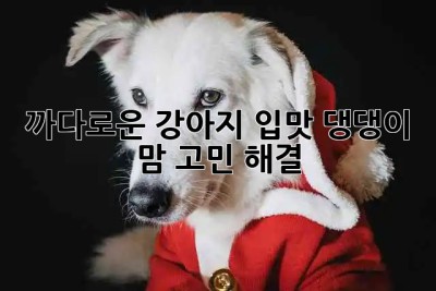 🐶 까다로운 강아지 입맛, 댕댕이 맘 고민 해결! 🐾