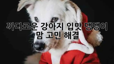 🐶 까다로운 강아지 입맛, 댕댕이 맘 고민 해결! 🐾
