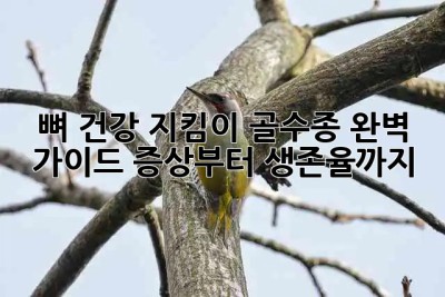 뼈 건강 지킴이🚨 골수종 완벽 가이드: 증상부터 생존율까지!
