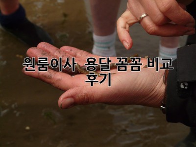 원룸이사 🚚 용달 꼼꼼 비교 후기 💯