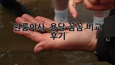 원룸이사 🚚 용달 꼼꼼 비교 후기 💯