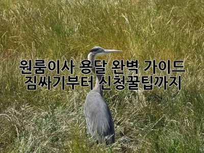 원룸이사 용달🚚 완벽 가이드: 짐싸기부터 신청꿀팁까지!🍯